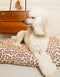 Leopard dog bed - beige / brown