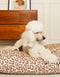 Leopard dog bed - beige / brown