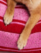 RETRO STRIPE DOGBED- RED / PINK