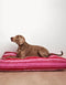 RETRO STRIPE DOGBED- RED / PINK