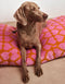 HEART DOG BED - ORANGE / PINK