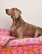 HEART DOG BED - ORANGE / PINK