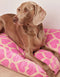 HEART DOG BED - BEIGE / PINK