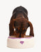 HEART DOGBOWL - PURPLE / SAND