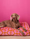 HEART DOG BED - ORANGE / PINK