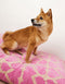 HEART DOG BED - BEIGE / PINK