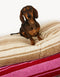 RETRO STRIPE DOGBED - BEIGE