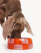 BLOCK DOGBOWL - PINK / ORANGE