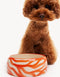 ZEBRA DOGBOWL - ORANGE / SAND