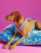 Swirl fluffy dog bed - blue / beige