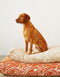 Swirl dog bed - orange / beige