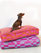 Block dog bed - orange / magenta