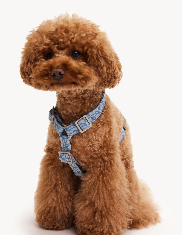 DENIM HARNESS - BLUE