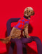 BLOCK DOG SWEATER - PURPLE / RED