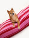 RETRO STRIPE DOGBED- RED / PINK