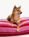 RETRO STRIPE DOGBED- RED / PINK