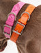 VEGAN LEATHER COLLAR - HEART - ORANGE