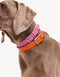 VEGAN LEATHER COLLAR - HEART - ORANGE