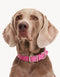 VEGAN LEATHER COLLAR - HEART - PINK