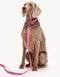 VEGAN LEATHER LEASH - HEART - PINK