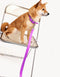 VEGAN LEATHER LEASH - ZEBRA PURPLE